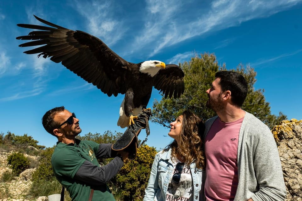 Benalmádena: Mount Calamorro Cable Car Ticket - Bird Show Experience