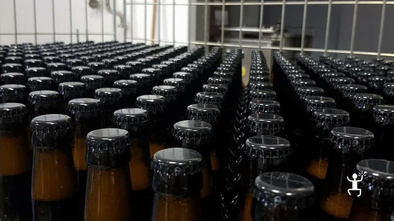 Benevento: visit and tasting at a brewery in Apollosa - The Outdoor Beer Garden: A Relaxing Setting