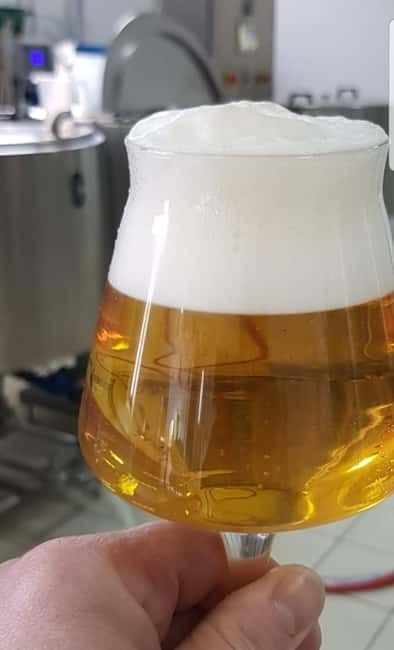 Benevento: visit and tasting at a brewery in Apollosa - Who Would Enjoy This Experience?