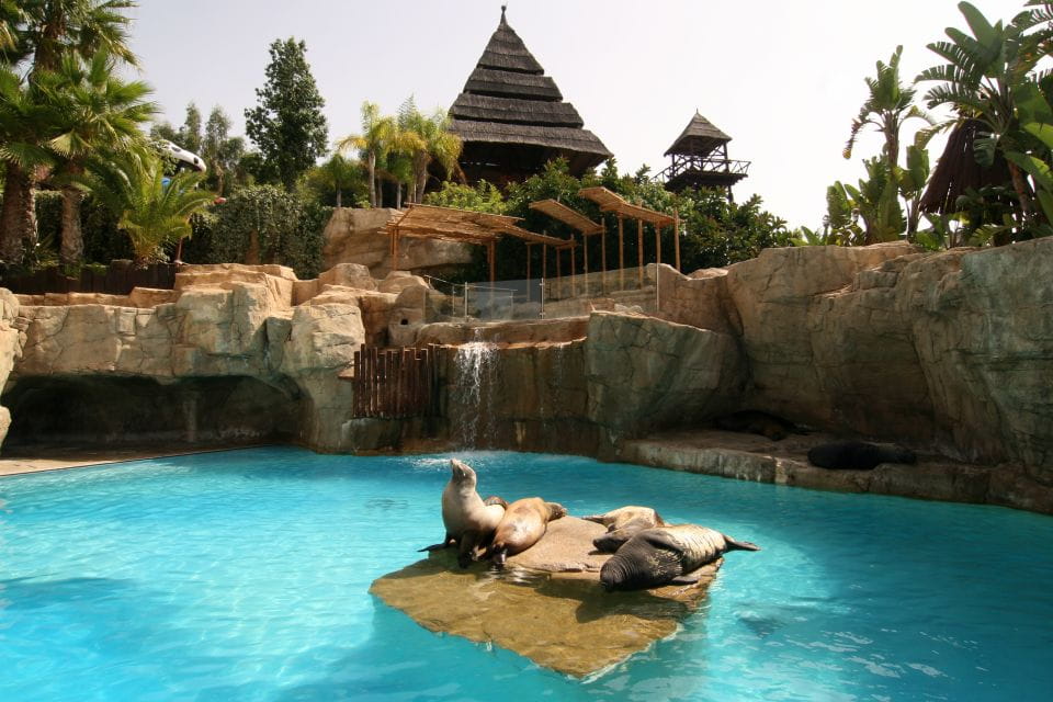 Benidorm: Mundomar Animal Park 1-Day Ticket - Park Accessibility Features