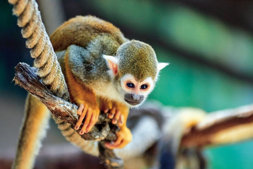 Benidorm: Mundomar Animal Park 1-Day Ticket - Customer Ratings and Feedback