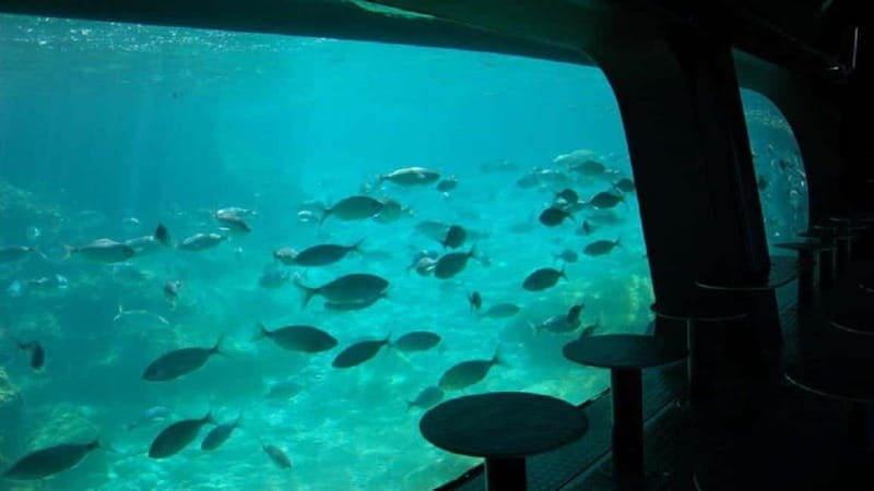 Benidorm: Peacock Island Boat Trip with Submarine included. - Key points / Takeaways