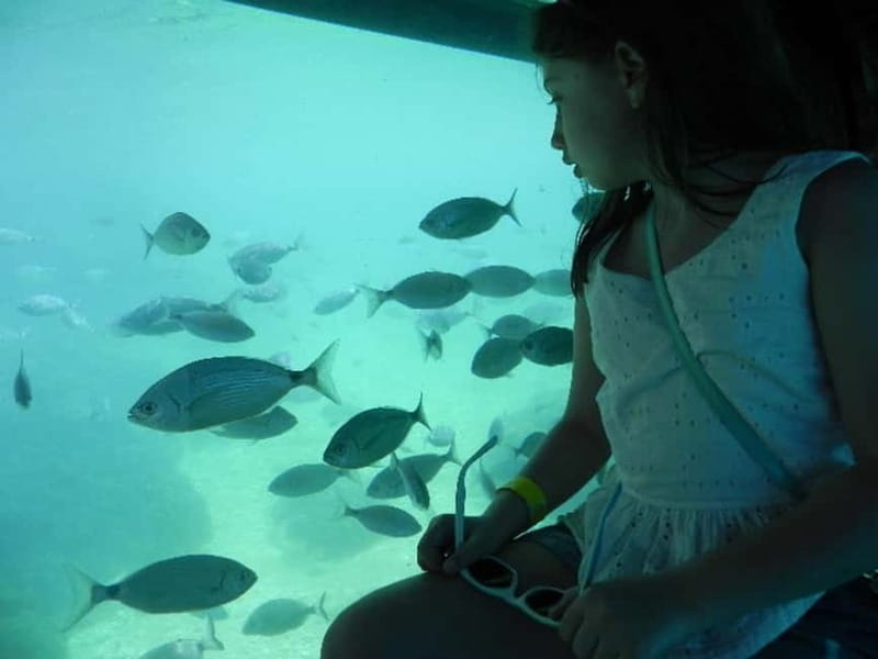 Benidorm: Peacock Island Boat Trip with Submarine included. - Practical details and tips for travelers