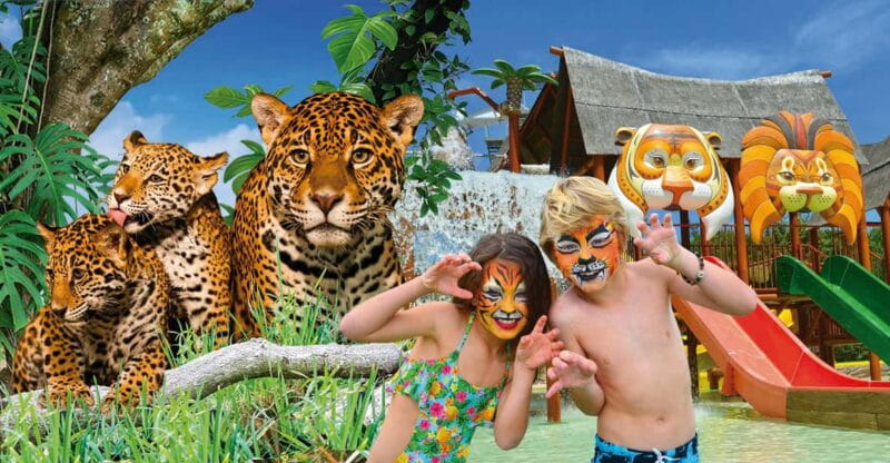 Benidorm: Terra Natura and Aqua Natura Combo Day Ticket - Key Points / Takeaways