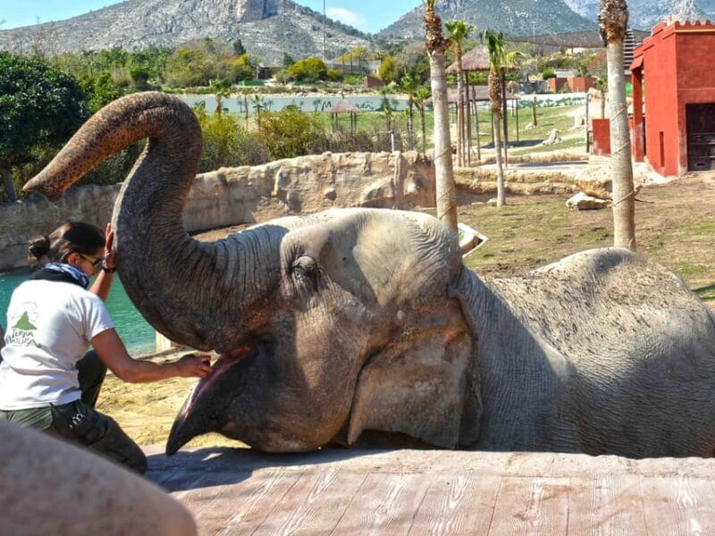 Benidorm: Terra Natura and Aqua Natura Combo Day Ticket - Who Will Love This Experience?