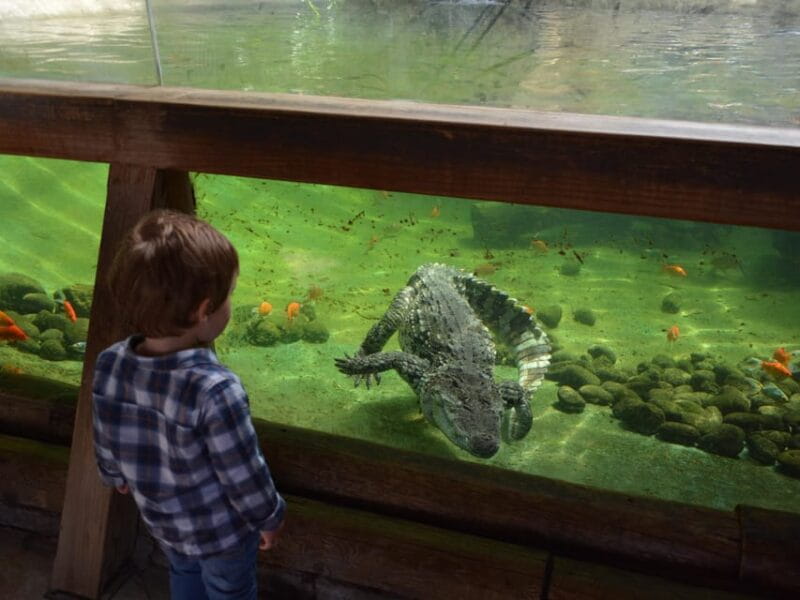 Benidorm: Terra Natura and Aqua Natura Combo Day Ticket - FAQ