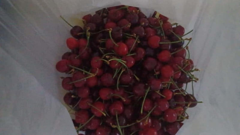 Berat: Farm-to-Table Cooking Class with Local Family - Final Thoughts: A Rich, Authentic Albanian Experience