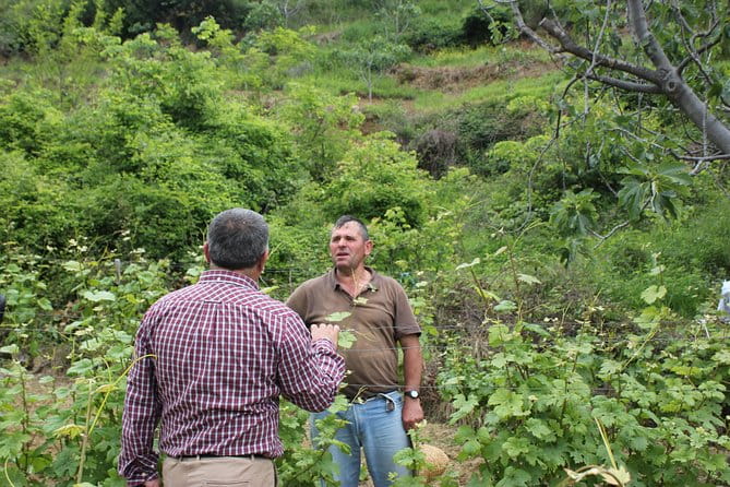 Berat Grand Wine Tasting & Food Tour - Who Should Book This?