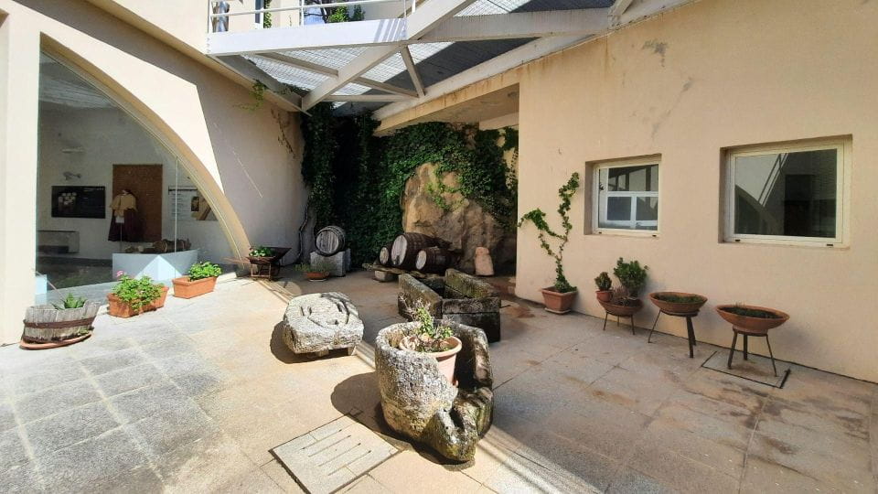 Berchidda: Visit to the Wine Museum With Wine Tasting - Tasting Menu for All Ages