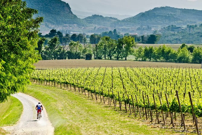 Bergamo and Franciacorta with lunch and cellar visit - A thorough look at the Bergamo and Franciacorta with lunch and cellar visit tour