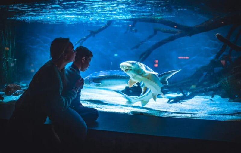 Bergen: Bergen Aquarium Entry Ticket - Entering the Aquarium and the Layout