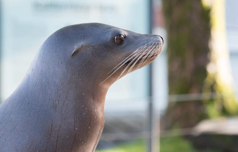 Bergen: Bergen Aquarium Entry Ticket - Unique Highlights and Practical Tips