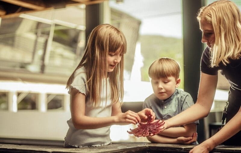 Bergen: Bergen Aquarium Entry Ticket - Who Will Love This Experience and Why