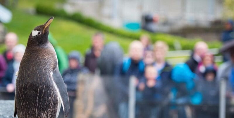 Bergen: Bergen Aquarium Entry Ticket - Final Thoughts