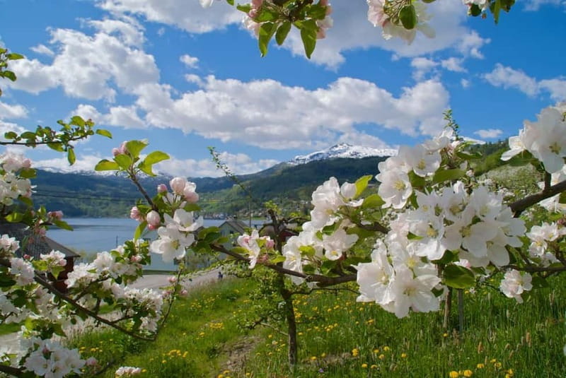 Bergen: Bondhus Glacier Lake in Folgefonna National Park - Discovering the Landscape of Hardangerfjord and Folgefonna