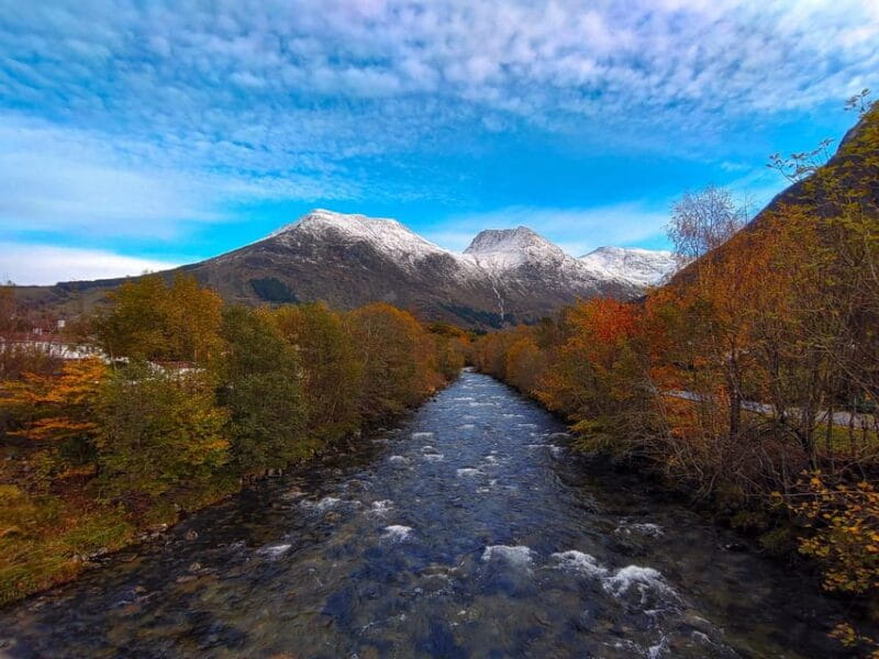 Bergen: Cruise to beautiful Rosendal by the Hardangerfjord - Price and Logistics: Is It Worth It?