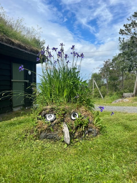 Bergen Magical Nature Tour | ViFlowExperience - Entering Bergen’s Mountain Realm