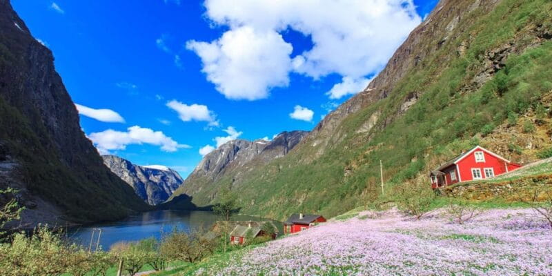 Bergen: Nærøyfjorden, Flåm, and Stegastein Guided Bus Tour - Key points / Takeaways