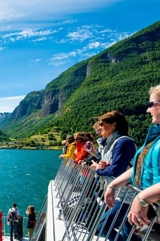 Bergen: Nærøyfjorden, Flåm, and Stegastein Guided Bus Tour - Who Might Want to Skip or Plan Differently?