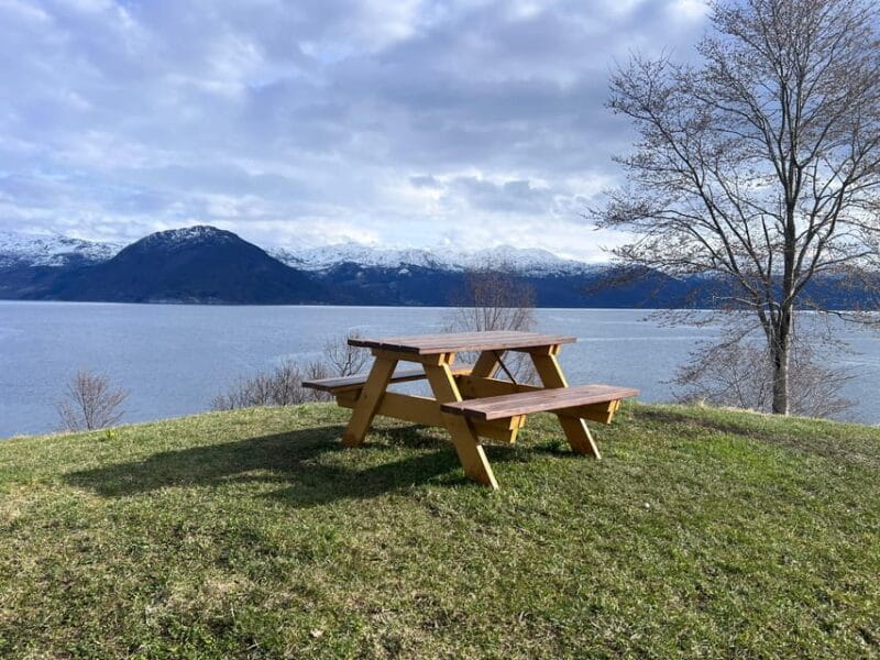 Bergen: Private City Tour with the Best of Hardangerfjord - What to Expect Throughout the Day