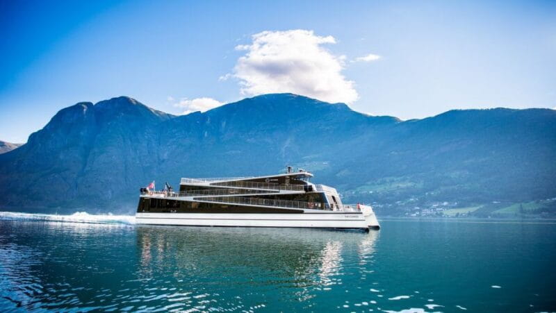 Bergen: Private Day Tour, Nærøyfjord Cruise and Flåm Railway - From Mountain to City: Bergen Railway and Voss