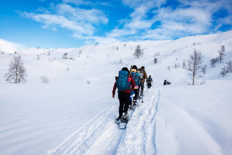 Bergen: Snowshoe Hike - Public Tour - Key Points / Takeaways