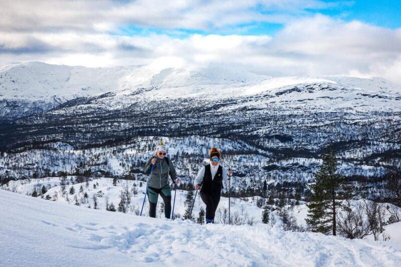 Bergen: Snowshoe Hike - Public Tour - Discovering Norway’s Winter Wilderness