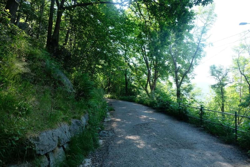 Bergen: Urban Mountain Hiking and History Tour - Is This Tour Right for You?