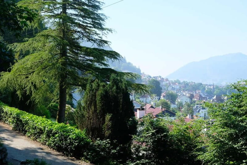 Bergen: Urban Mountain Hiking and History Tour - Price and Logistics: A Good Value for a Rich Experience