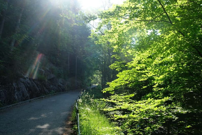 Bergen: Urban Mountain Hiking and History Tour - Final Thoughts