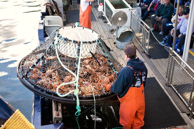 Bering Sea Crab Fishermans Tour From Ketchikan - Spotting Wildlife and Scenery
