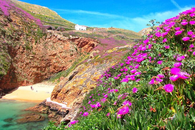 Berlengas Island Catamaran Tour + Snorkeling - Return Journey: Sunset and Social Vibe
