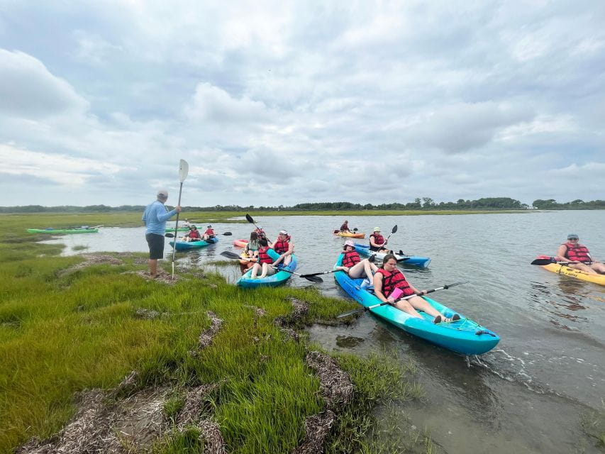 Berlin: Assateague Island Wildlife Discovery Kayak Tour - Key Points