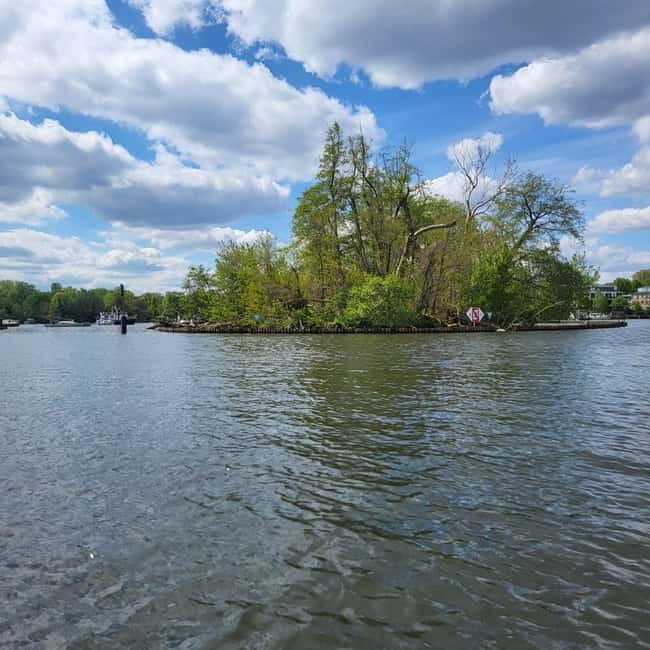 Berlin: Canoe tour & kayak tour - Final Thoughts