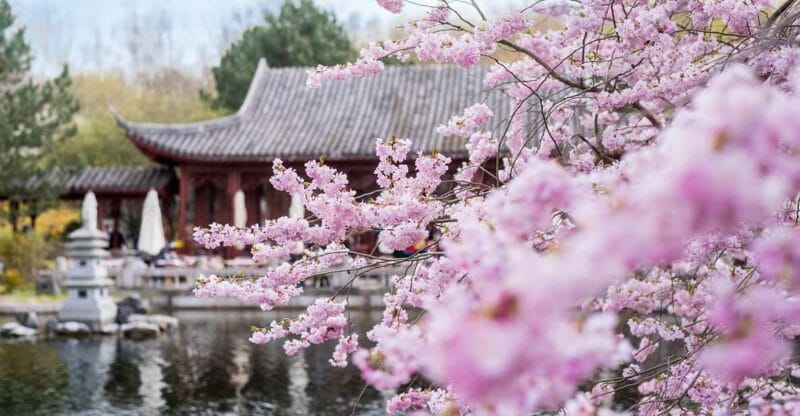 Berlin: Gärten der Welt Guided Tour - Key Points / Takeaways