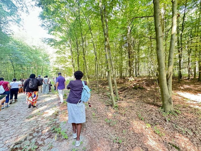 Berlin: Historical Tour along the Death March Path with Car - The Forest of Below: A Place of Reflection and Memory