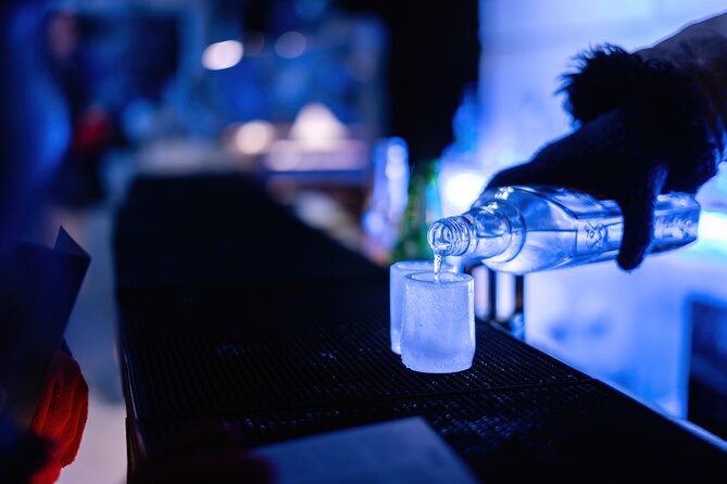 Berlin Icebar Experience Including 3 Drinks - Cancellation Policy
