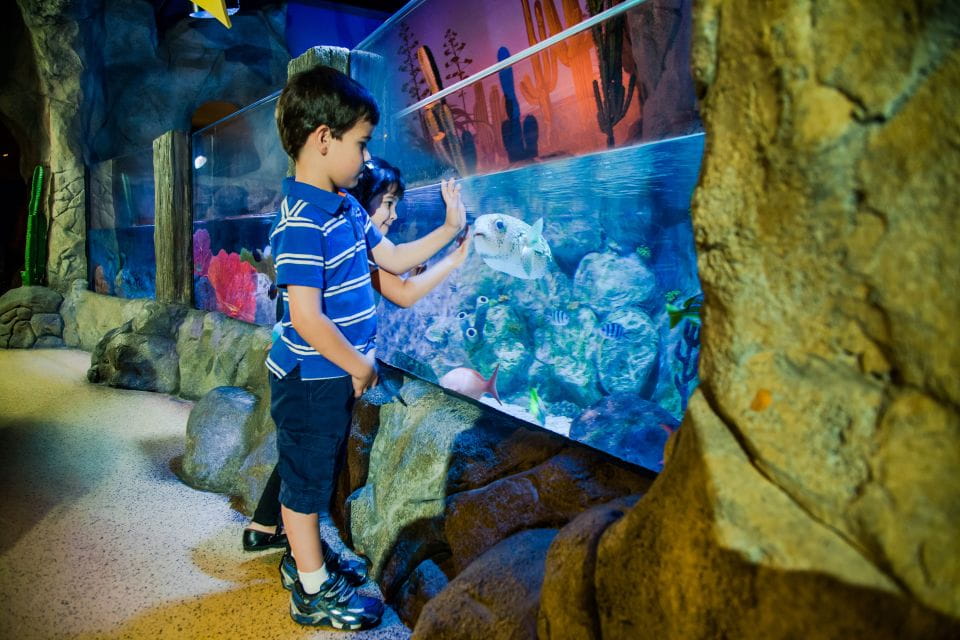 Berlin: LEGOLAND Discovery Centre and SEA LIFE Combo Ticket - Inclusions and Important Information