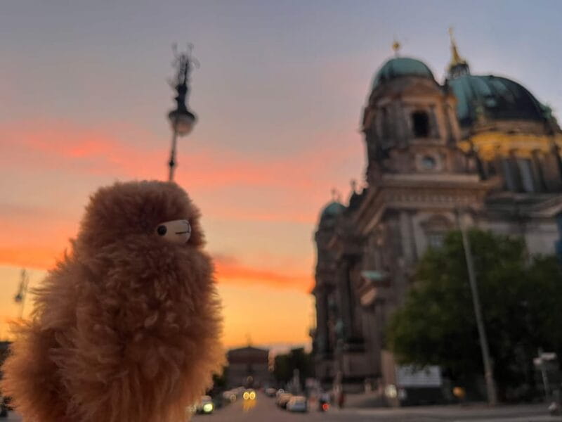 Berlin: Sachsenhausen Memorial Half-Day - Key points / Takeaways