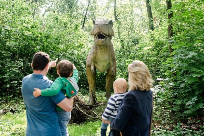 Berlin: Tickets for the Tierpark in East Berlin - Practical Tips for Your Visit