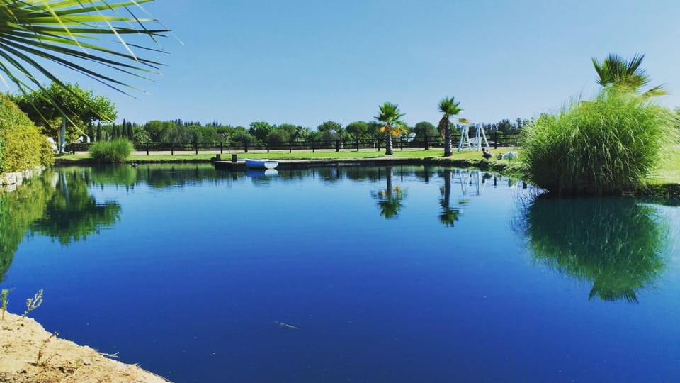 Berry Tasting (Strawberries, Raspberries and Blueberries) - Key Points