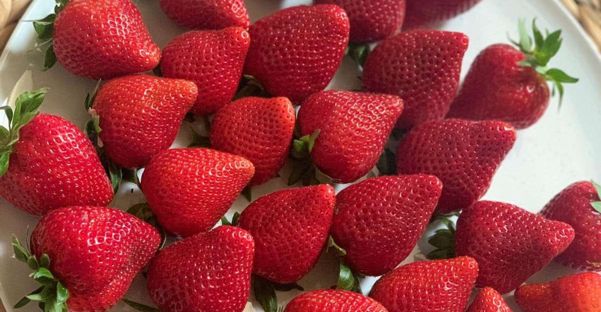 Berry Tasting (Strawberries, Raspberries and Blueberries) - Itinerary for the Experience