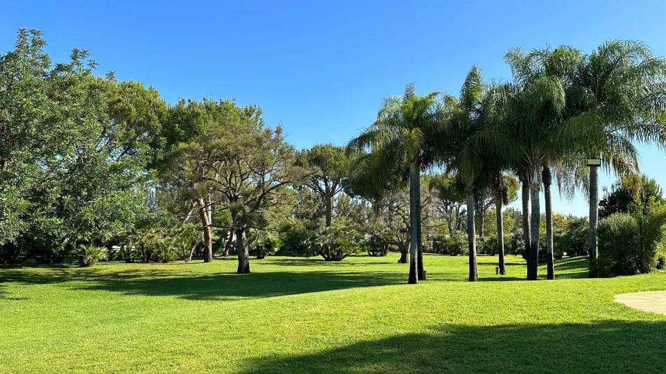 Berry Tasting (Strawberries, Raspberries and Blueberries) - Contact Information