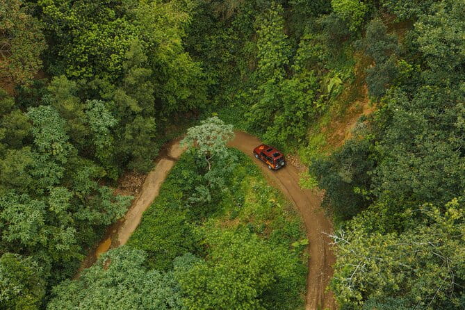 Bespoke adventure in Madeira with pick-up - Who is This Tour Best Suited For?