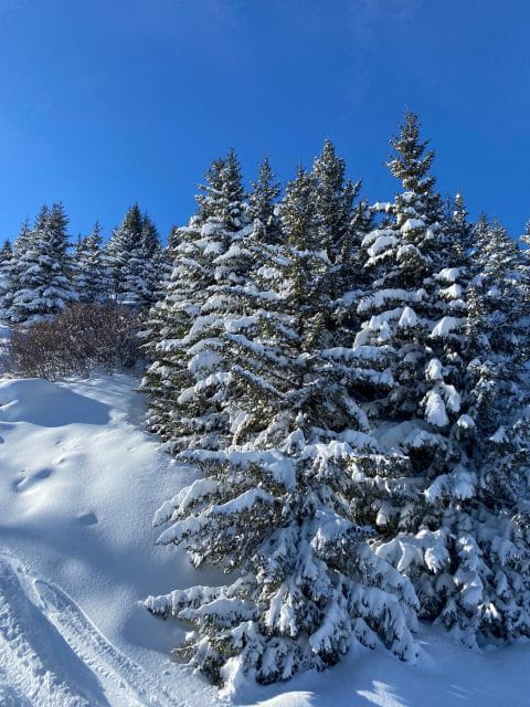 Bespoke Private Courchevel Experience - Private Tour With Host