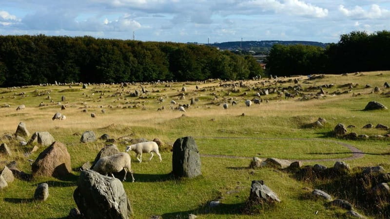 Best of Aalborg: Private Walking Tour with a Local - Final Thoughts: Authentic, Personal, and Fun