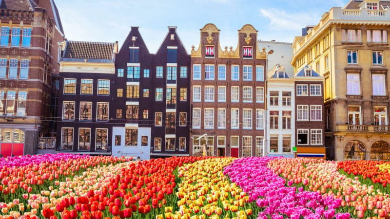 Best of Amsterdam: Private Walking Tour with a Local - Entering the Heart of Amsterdam