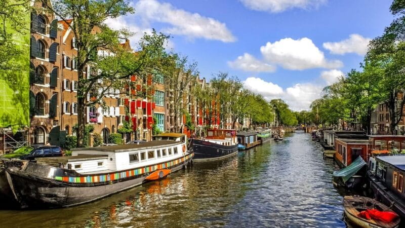 Best of Amsterdam: Private Walking Tour with a Local - Price and Logistics