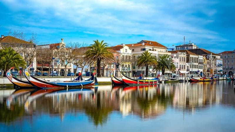 Best of Aveiro: Private Walking Tour with a Local - Key Points / Takeaways
