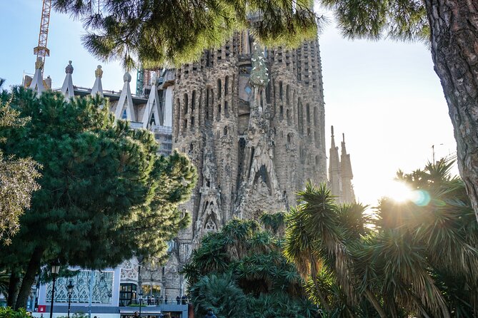 Best of Barcelona: Sagrada Familia, Park Guell, Montjuic & Gothic - Park Guell